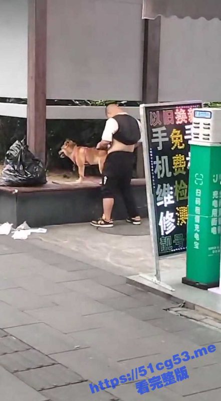 太逆天了！胖子大白天地当街猥亵日黄狗 真正印证了
