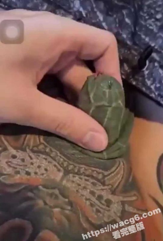 狠人鸡鸡上纹乌龟 龟头变成真龟头 包皮成了龟壳 这细节纹得真像那么回事！-51吃瓜网