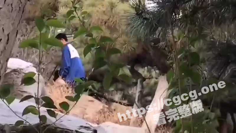 山东枣庄滕一中学 一男一女在学校花园中野战 遭偷拍-51吃瓜网